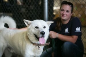 Is the Korean Dog Meat Trade Really Ending? What You Need to Know