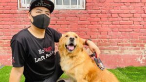 Is No Dogs Left Behind Legit? A Complete Transparency & Trust Guide